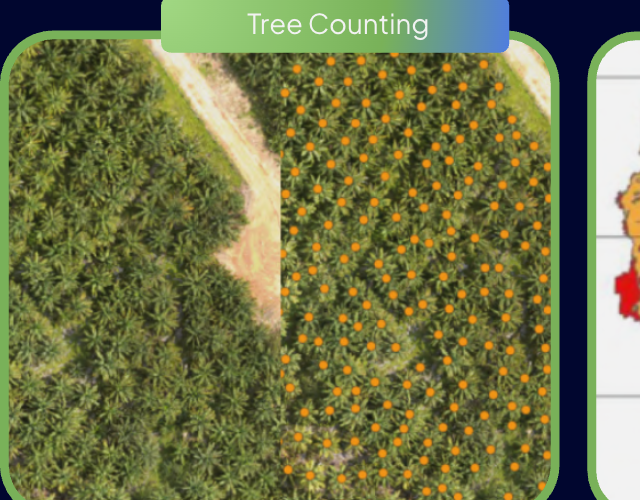 Tree Counting